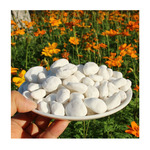 黑色园林景观石白色鹅卵石花园石头石料直销2017巴中资阳重庆上海