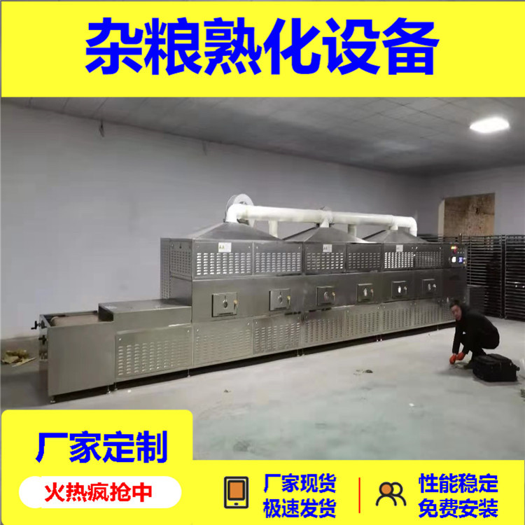 低温烘焙熟五谷杂粮荞麦熟化设备荞麦粉粗粮干燥熬粥干燥杀菌济南