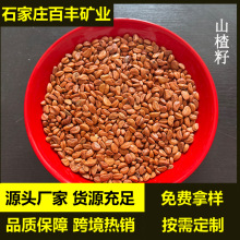 ��������ˮϴɽ���  ��܇���| ���ɳ ���^����� �o�s�|