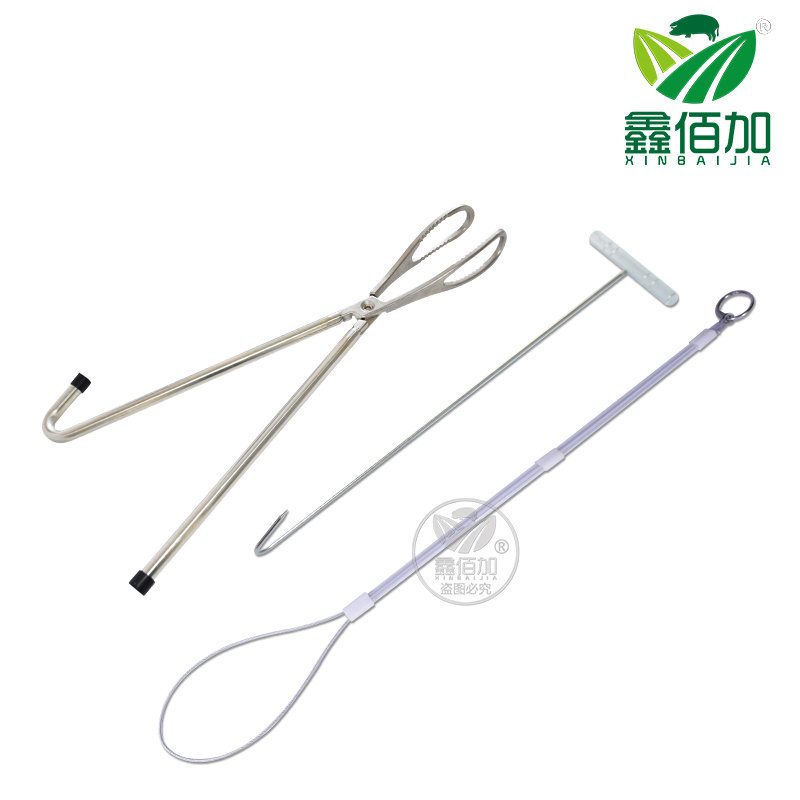Midwifery forceps midwifery hook midwifery rope stainless steel veterinary midwifery instrument three-piece midwifery clip pig cutter