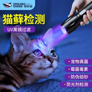 �����S���Ϲ����Ͳ�b���z�y؈�\���z�y���Ͳ�X�Ͻ��yʽ