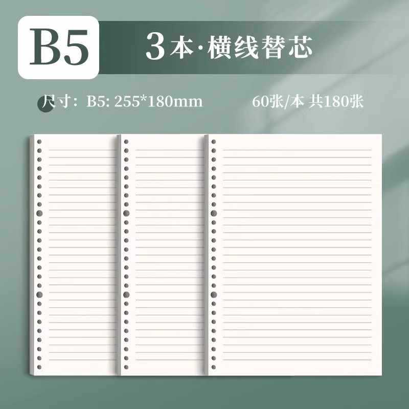 B5 • horizontal line core • 3 books ☞180 photos (360 pages)