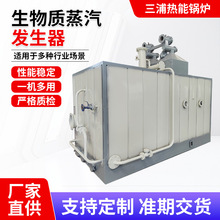 生物质蒸汽发生器酿酒洗涤烘干自动工业商用高压直流D级蒸汽锅炉