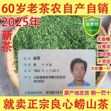 崂山绿茶2025年新茶春茶豆香浓郁大田崂茶农崂山茶一斤青岛特产级
