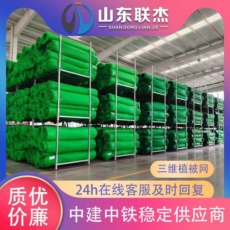 三维网复合植被网喷播植草网盖土网固土网厂家生产土工网垫护坡