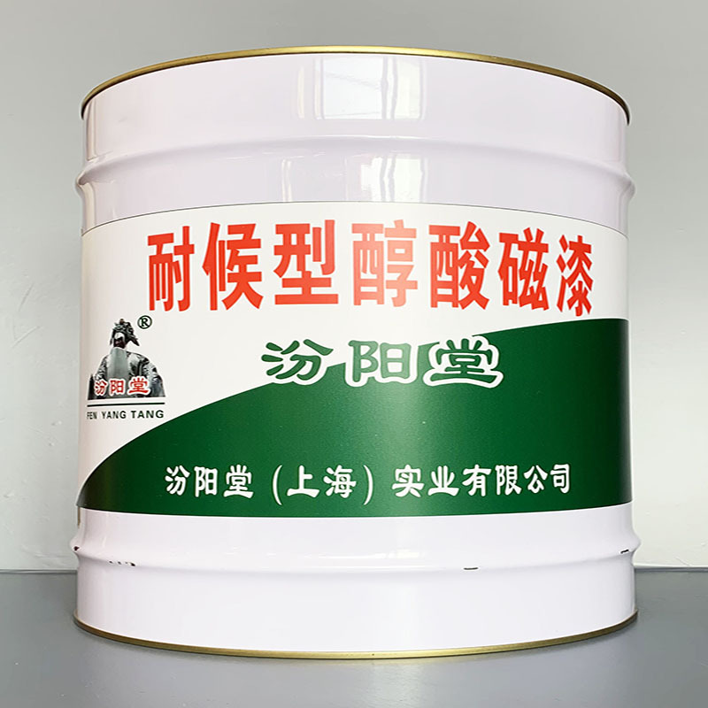 耐候型醇酸磁漆、性能好、耐候型醇酸磁漆、方便，工期短