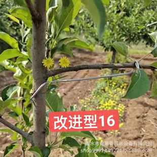 �O����Ť�����Ʉe֦�_���������֦��֦���M�͏������͙�����֦��