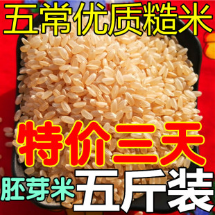 �|������5���b ���װlѿ�������s�Z�����峣�����������������