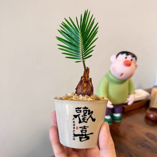 �F��U������С���Բ����U��[���辰�k���҃ȾGֲ��͏d�����K�F