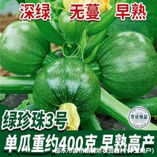 �o����G�����ϷN������С��ϷN���Ϲ϶��ٟo������Nֲ�߲˷N��