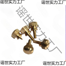 �S�~��ɫ���^�֔Q�ݽz �~�֔Q�ݽz ��˨M3 M4*6 8 10 12 16