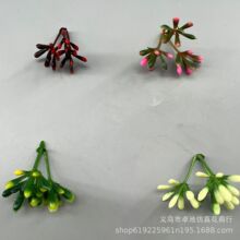 ����ֲ��3��3cmС�׻�����ֲ���cˮ��������ϲ���ˮ�ݷ���ֲ��