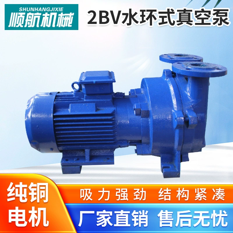 2BV кольцевой вакуумный насос для воды, промышленный вакуумный насос из нержавеющей стали, взрывозащищенный двигатель, вакуумный насос для жидкостного кольца, производитель Zibo