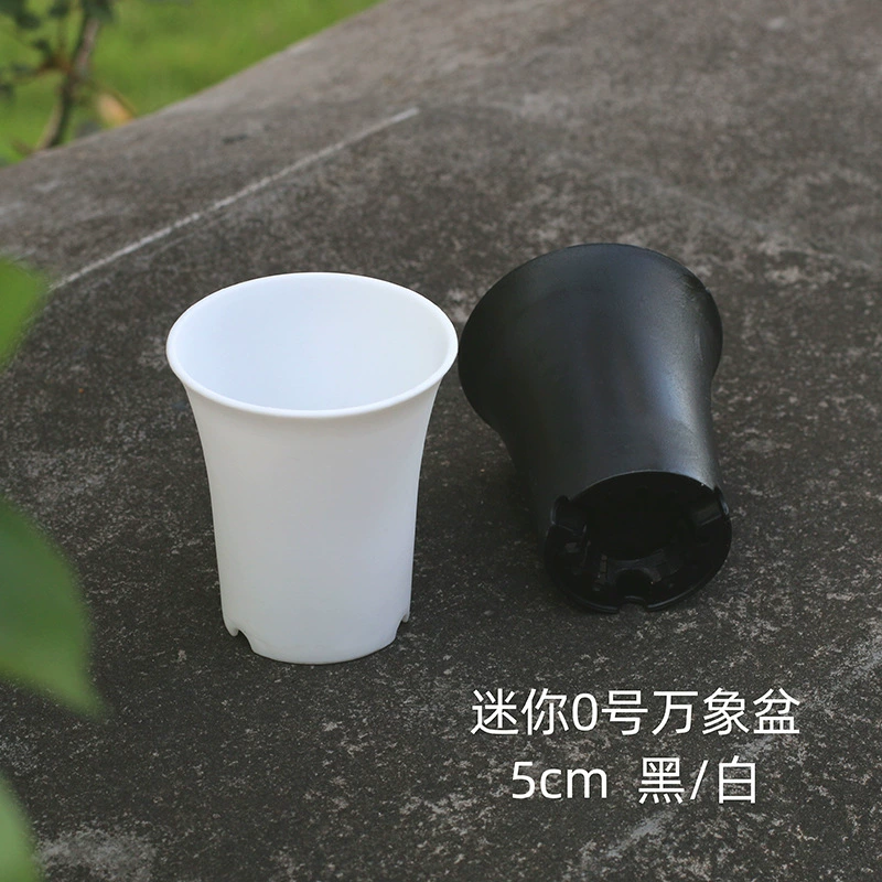 5cm круглый Вьентьян горшок мини с высокой талией матовый горшок суккулентное растение пластиковый цветочный горшок большой палец горшок черно-белая посадка