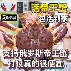 帝王蟹鲜活海鲜10斤帝皇蟹大螃蟹龙虾巨型长脚蟹水产包活到家