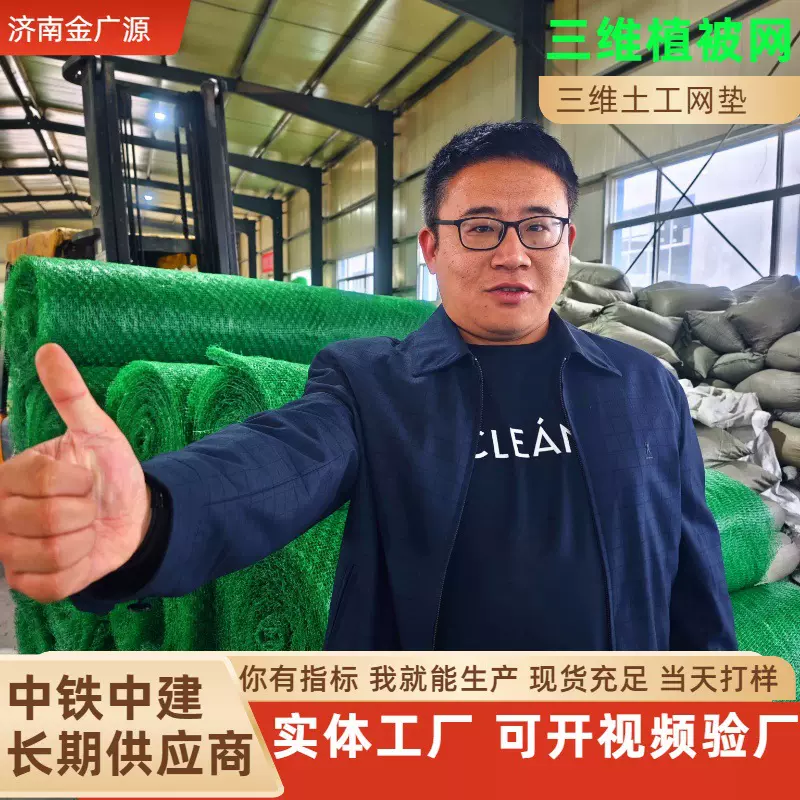 三维植被网 厂家直供河道高速边坡植草防止水土流失 三维土工网垫