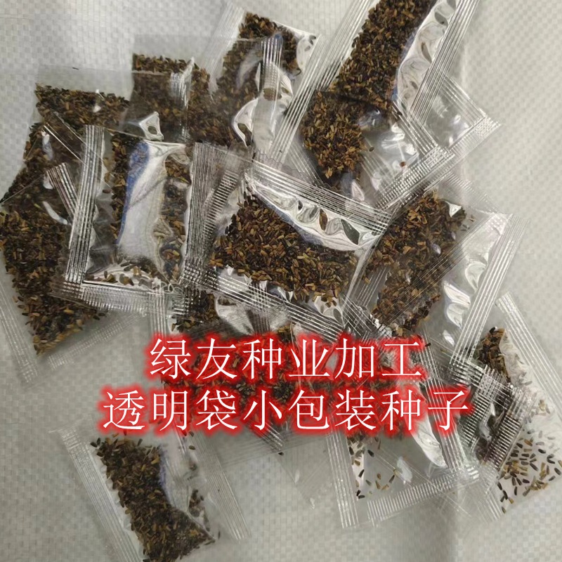 透明袋小包装