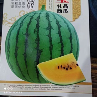 �S�������ϷN���������S�ı�Ƥ�������Sȿ�ͻ�Ƥ�r�����ϷN��