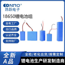 18650�A���ɳ���늳�3.7V7.4V11.1V14.8V22.2V���N�M���늳�