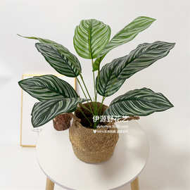仿真假花绿植小盆栽装饰摆件植物墙插花配材过胶叶子9头万年青