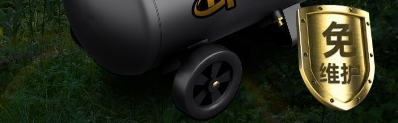 Oil-Free Silent Air Compressor Small Household 220V Air Compressor Air Pump Woodworking Spray Paint Nail Pumping Air Pump