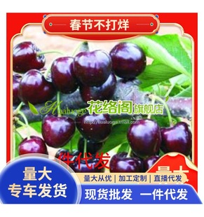 �������������������l ����������6̖��ľ��12̖ 17̖ y1������ľ