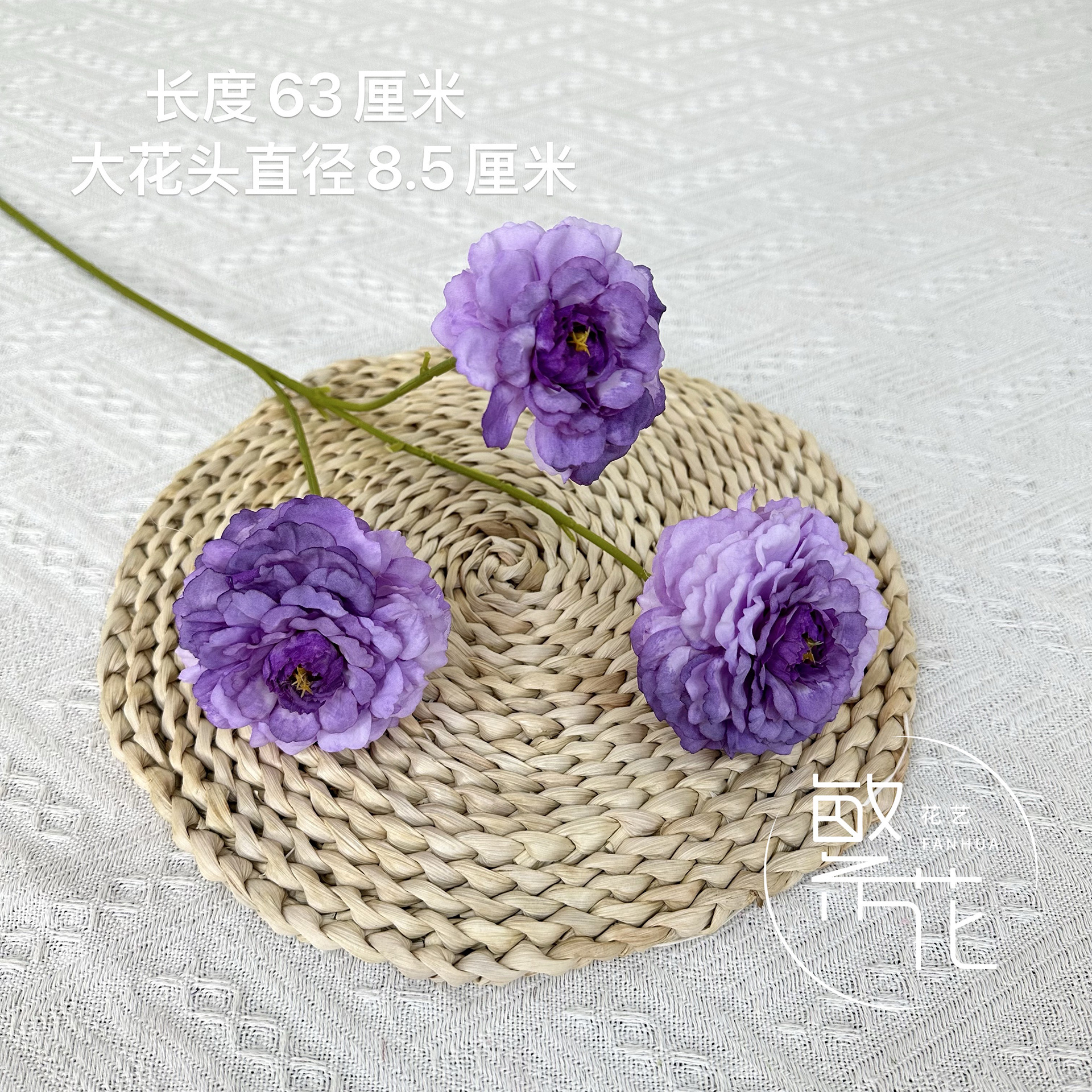 보라색 용 잉어