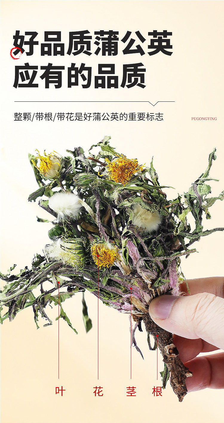 Dried Dandelion Whole Herb Pu Gong Ying 500g Wild Harvested Traditional Herbal Tea and Decoction Ingredient specifications