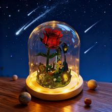 跨境diy儿童拼图模型拼装玩具花园庭院摆件 装饰