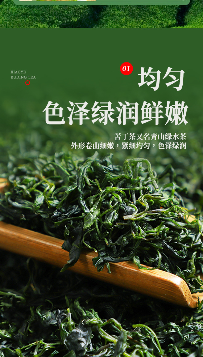 Small Leaf Kuding Tea Premium Tender Bud Bags 30g Canister Daily Wellness Brew quality and texture