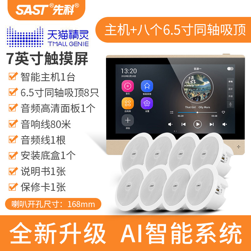 [내장 Tmall Elf] 호스트 + 8개의 중저음 동축 천장 스피커