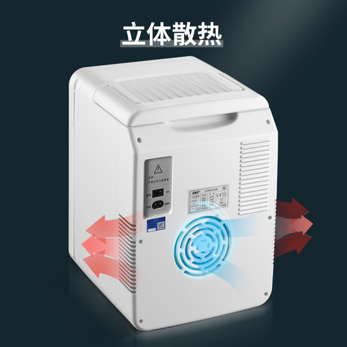 Makeup mirror refrigerator facial mask one-time delivery expert cross-border exclusive fruit and beverage preservation car-mounted cooling box