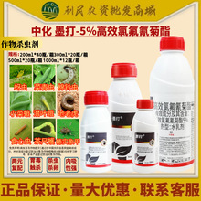 �л�ī��5%��Ч�ȷ���������{�����x黌���׾����rș���x��