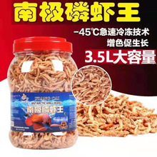 �ϘO���r���y���~����~�Z�����Z�����~�lؔ�~�~ʳ���~�W�^�~���