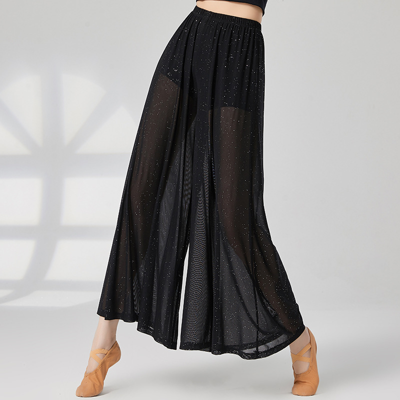 Loose high waist classical dance wide leg pants Chinese modern practice clothes clothing women's white mesh elegant