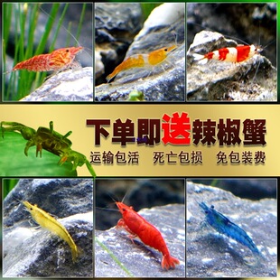 �ښ��r�r���^�p�r���w����ݸ�ˮ���r��ѻ��O�����r��ͳ��嵭ˮ