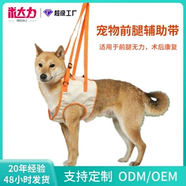 伊丽莎白圈;宠物项圈;狗狗清洁