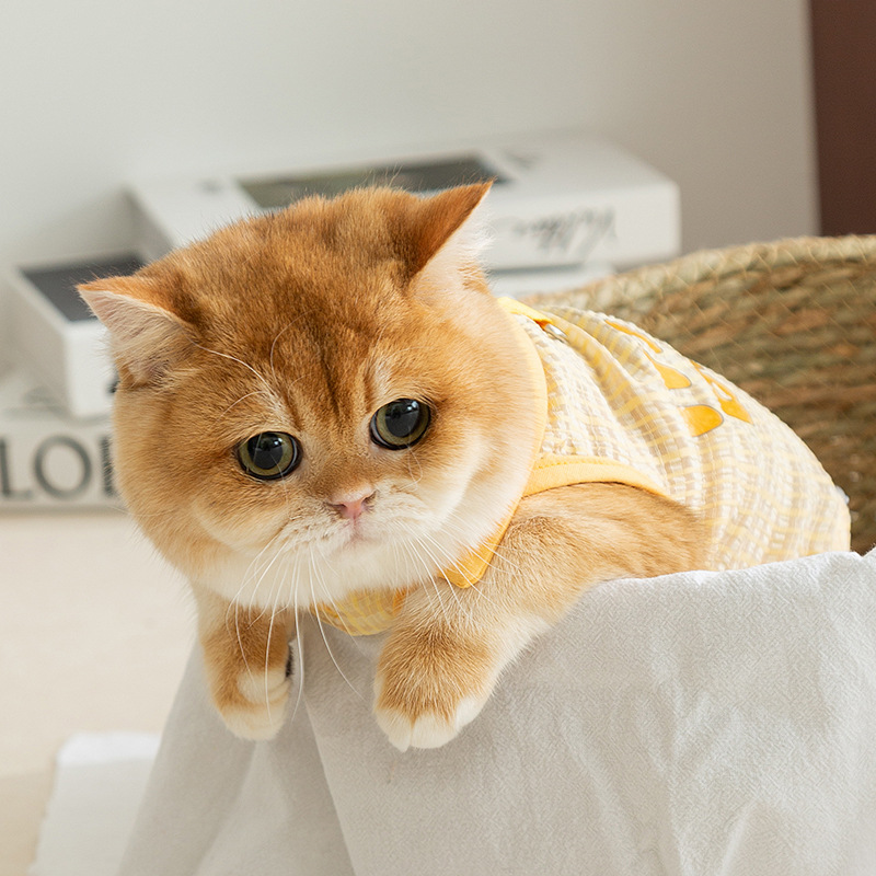 Gato primavera y verano transpirable delgado gato sin pelo gatito jacquard cuadrilátero chaleco perro camiseta ropa de mascotas