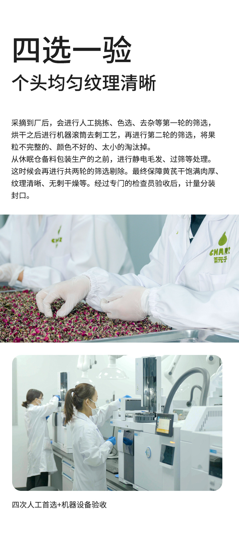Astragalus Root Slices Huang Qi 330g Canister Dried Herb for Tea and Soup Gansu Origin in use