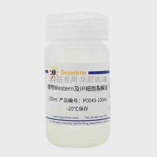 P0043-100ml 植物Western及IP细胞裂解液 碧云天