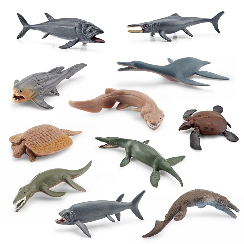 Simulación transfronteriza de modelos de animales marinos antiguos Trilóbulos de ammonita de peces de Dundee Ornamento estático de escritorio