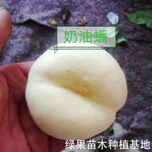 ����������� ����� �Ҙ��� �������޽ӹ��� �ϱ����N�������