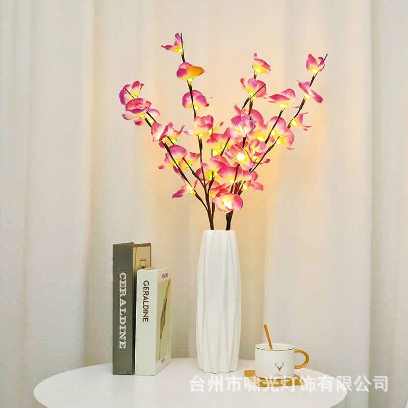 O1CN01V5mmo01YBfUJN0qAq_!!2214