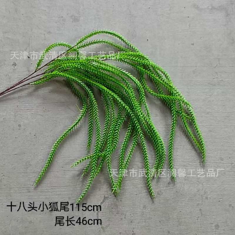 18개의 작은 여우 꼬리