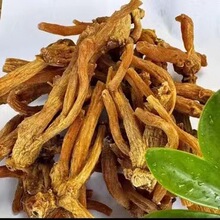 ����Ұ؛��צ��Ұɽ���o���ӟo����ș���Ҝ��ݾ��B�����a��؛ș��