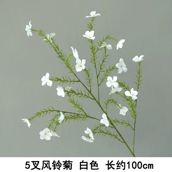 5 fork breeze white white