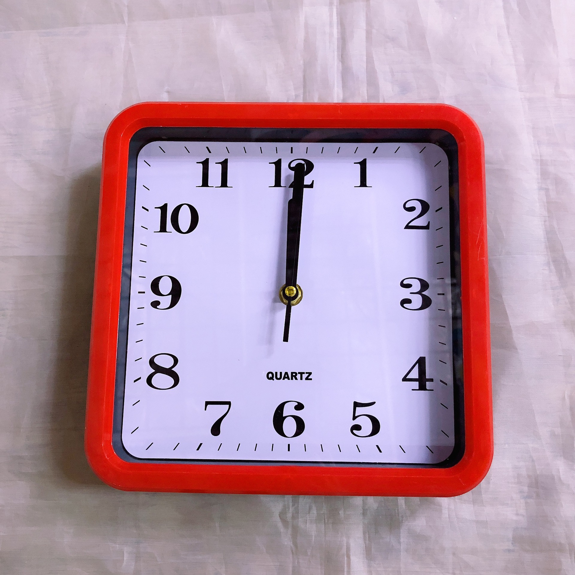 IMG_7261(20210815-111243)