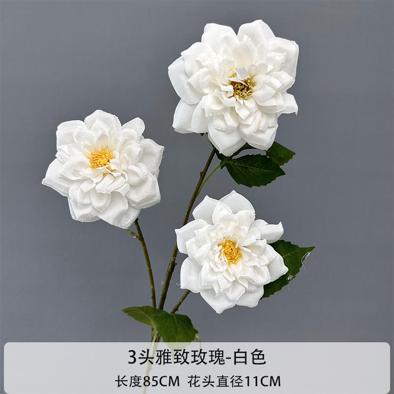 우아한 장미 3 개