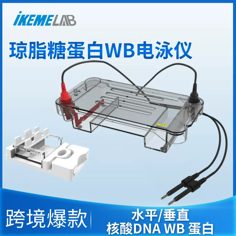 水平垂直电泳仪实验室凝胶琼脂糖DNA核酸RNA蛋白WB转印电泳槽电源