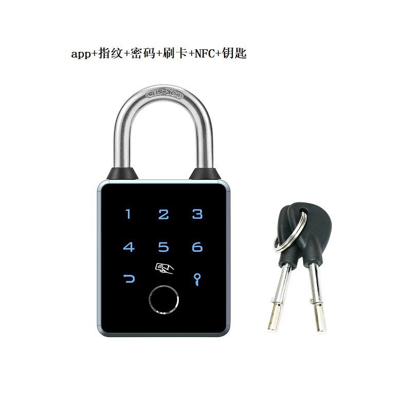 指紋パスワード南京錠大型パスロック落書き Bluetooth APP カードスワイプ NFC 屋外ゲート盗難防止ロック防水|undefined